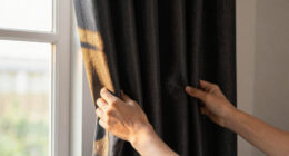 14 Best Blackout Curtains for Color Critical Rooms in 2026