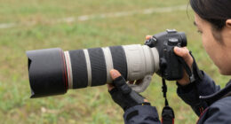 8 Best 150-600mm Lenses for Sports Photography in 2026