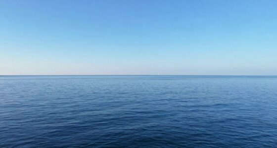 maintain clear horizon lines