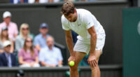 Taylor Fritz loses at Wimbledon after knee tendinitis flares up