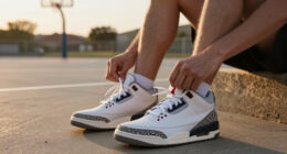 12 Best Air Jordan 3 Sneakers in 2026