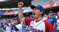 Hiroshima Toyo Carp Wins