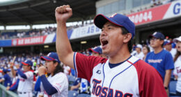 Hiroshima Toyo Carp Wins
